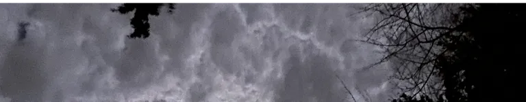 SnowyLeopard55 Banner