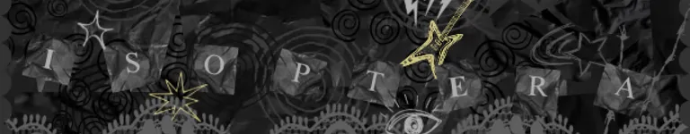 R00K3T Banner