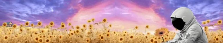 Indie-dimension Banner