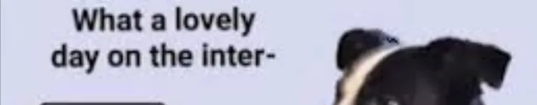 The3ndlessVOID Banner