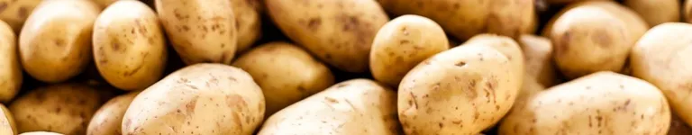Sethy03-Potato Banner