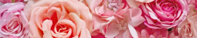 TDI-Courtney Banner