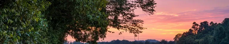 stitchlovertia Banner