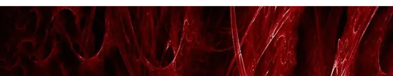 TheAuShipper Banner