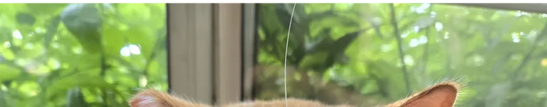 ZACKATTACK849 Banner