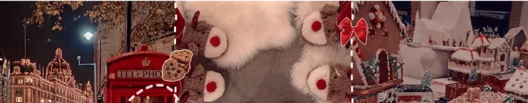 neptunsnum1fan Banner