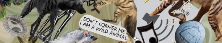 The-Silly-Comet Banner