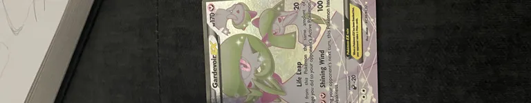 terriblelizhard Banner