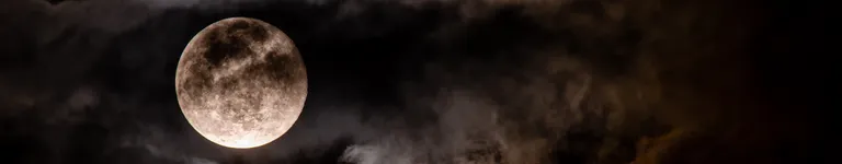 Kitty-Warrior Banner