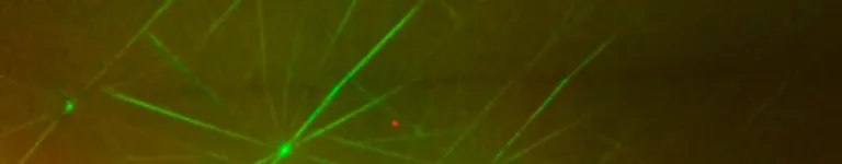 maxehfhhfhsjdjt Banner