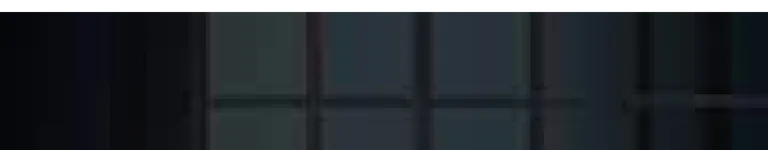 Z-e-n-i-t-s-u Banner