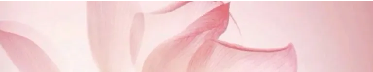 brightlanturns Banner