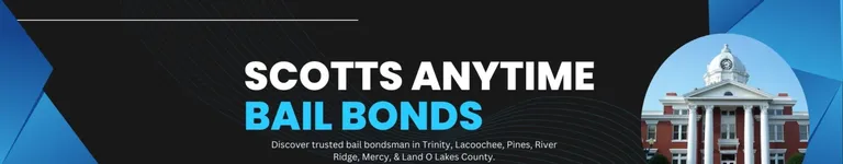 scottsanytimeba Banner