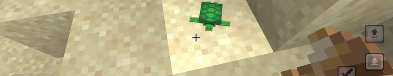 AnonymousAmey Banner