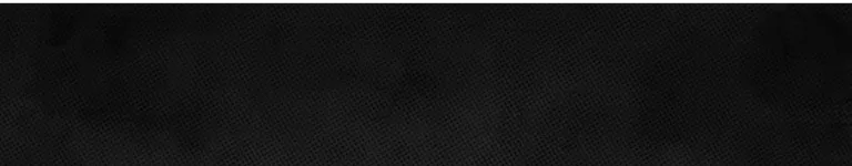 Sillycrafthya Banner