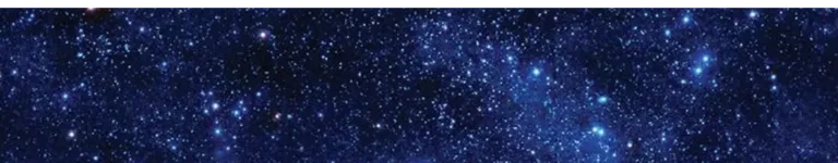Starryskiesfox2 Banner