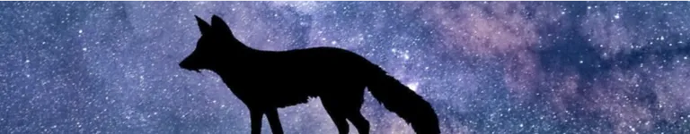 Starryskiesfox2 Banner