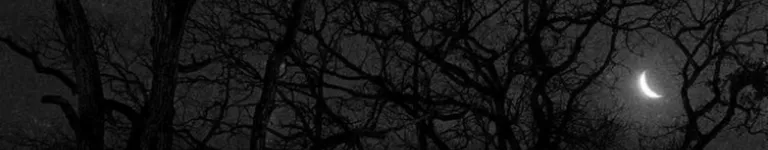 rodepanda Banner