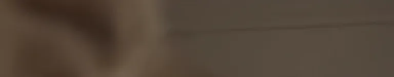 Lampooninglice Banner
