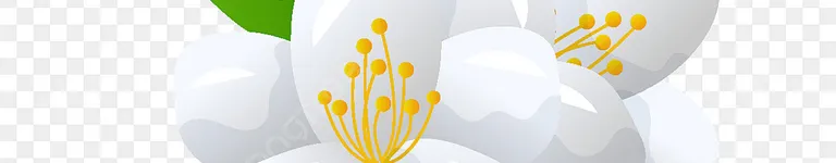 every-behind-u9 Banner