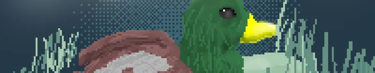 kiwisugar Banner