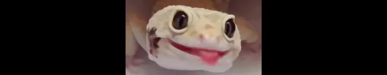 BonJoviThe2nd Banner