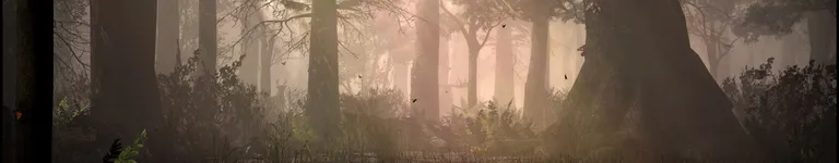 Zerva Banner