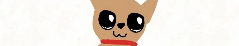 magic-platform Banner