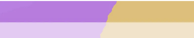 AiDyN2011 Banner