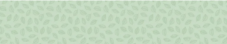 FroglyBill Banner