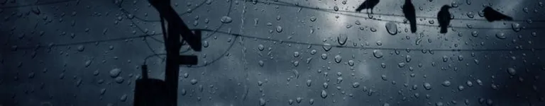 thatonecrazygir Banner