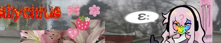 sillycitrus Banner