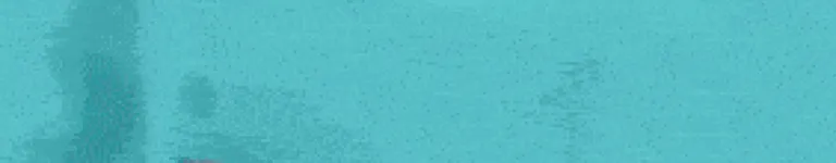 Kapi-is-ddr-pro Banner