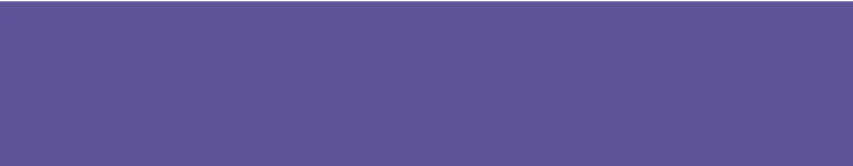 Verbena Banner