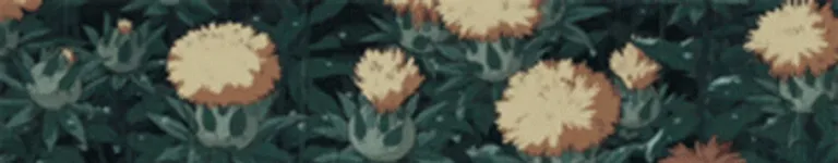 Depressed-Frog Banner