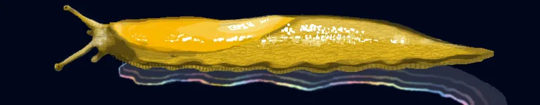 Capn-of-Chaos Banner