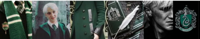 th3r1anfoxx Banner