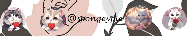 Spongeypie Banner