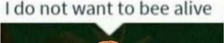 no-thats-wrong Banner