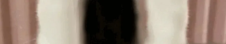 quacktoasters Banner