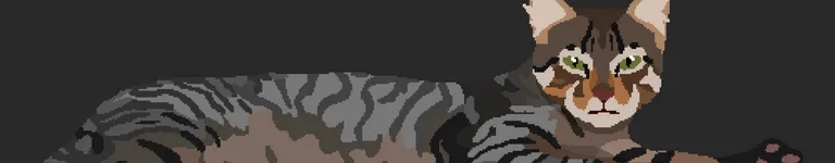 Spicy-Chicken Banner