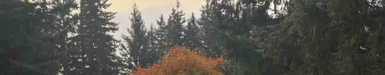 Gunmetal-Azrael Banner