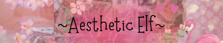 Aesthetic-life Banner