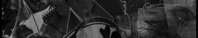 Aesthetic-Nim Banner