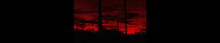 NAHHSharkyyyX3 Banner