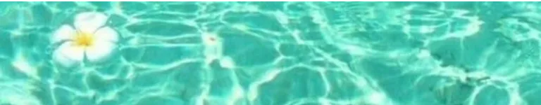 Randomgurl786 Banner