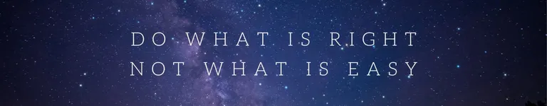 InfernalPheonix Banner