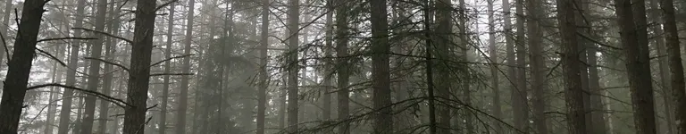 maruuu Banner