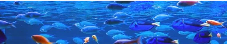 AzazelTheFallen Banner