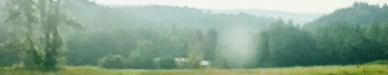 3AnnoyingDogs Banner